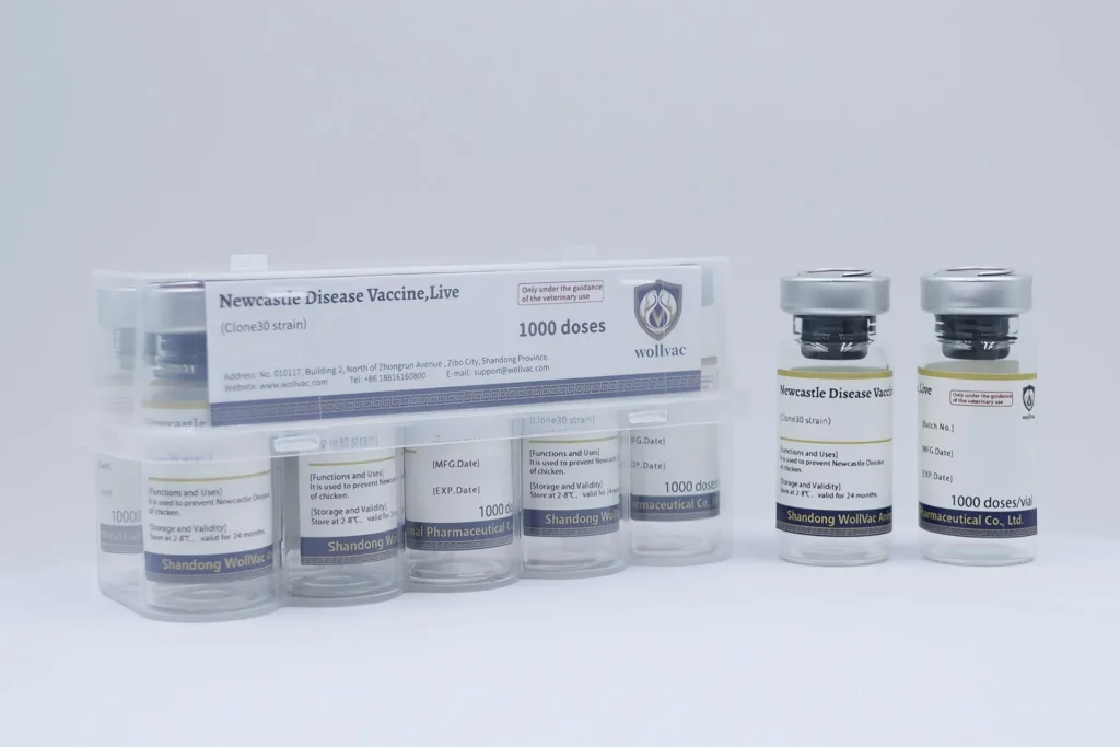 Newcastle Disease Vaccine,Live (Clone 30 Strain)
