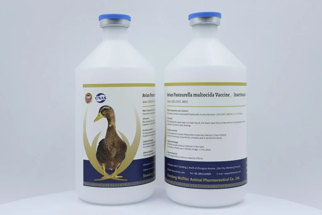 Avian Pasteurella multocida Vaccine，Inactivated