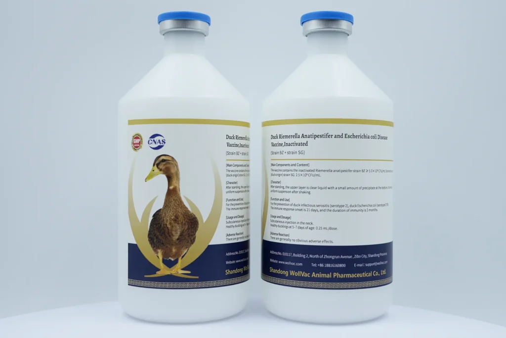 Duck Riemerella Anatipestifer and Escherichia coli Disease Vaccine,Inactivated