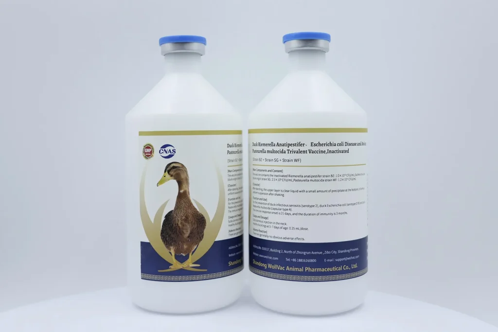 Duck Riemerella Anatipestifer、Escherichia coli Disease and Avian Pasteurella multocida Trivalent Vaccine,Inactivated