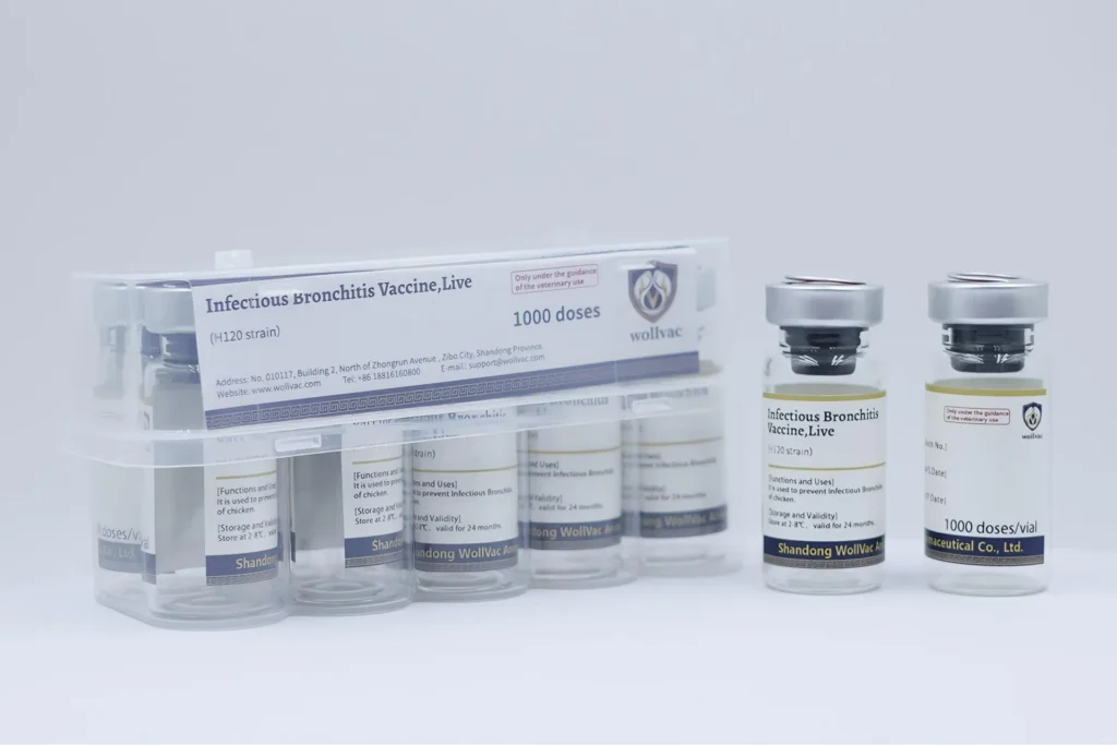 Infectious Bronchitis Vaccine,Live(H120 Strain)