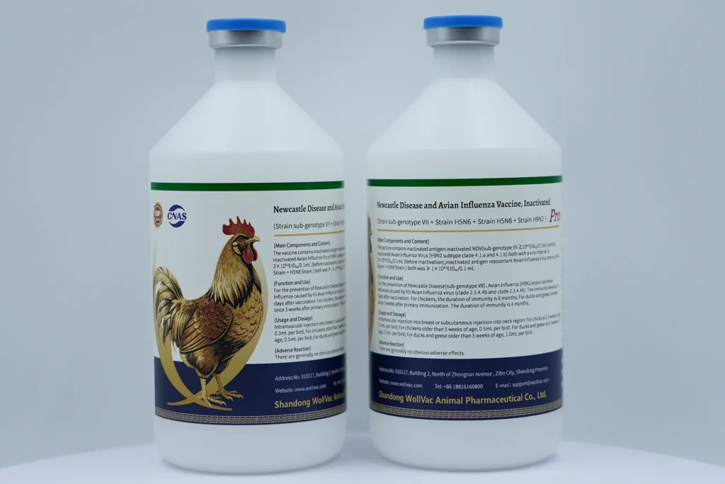 Newcastle Disease And Avian Influenza Vaccine, Inactivated (Strain Sub-genotype VIl + Strain H5N6 + Strain H5N8 + Strain H9N2)