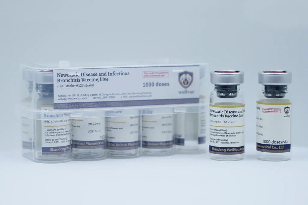 Newcastle Disease and Infectious Bronchitis Vaccine,Live (HB1 strain+H120 strain）