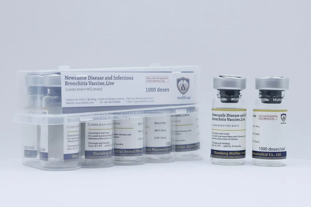 Newcastle Disease And Infectious Bronchitis Vaccine,Live(Lasota Strain+H52 Strain)