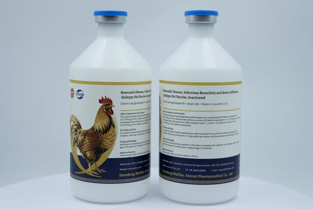 Newcastle Disease, Infectious Bronchitis and Avian Influenza (Subtype H9) Vaccine, Inactivated