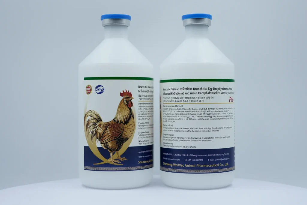 Newcastle Disease, Infectious Bronchitis, Avian Influenza (Subtype H9) and Fowl Adenovirus Four-valent Vaccine, Inactivated