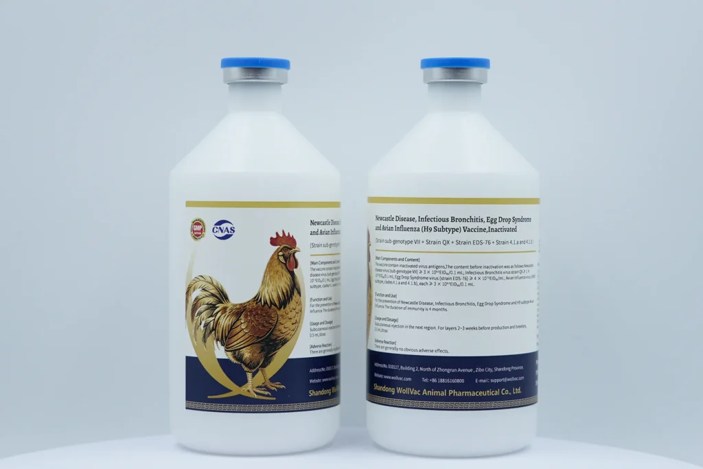 Newcastle Disease, Infectious Bronchitis, Egg Drop Syndrome and Avian Influenza (H9 Subtype) Vaccine,Inactivated