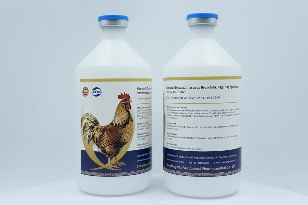 Newcastle Disease, Infectious Bronchitis, Egg Drop Syndrome Vaccine,Inactivated