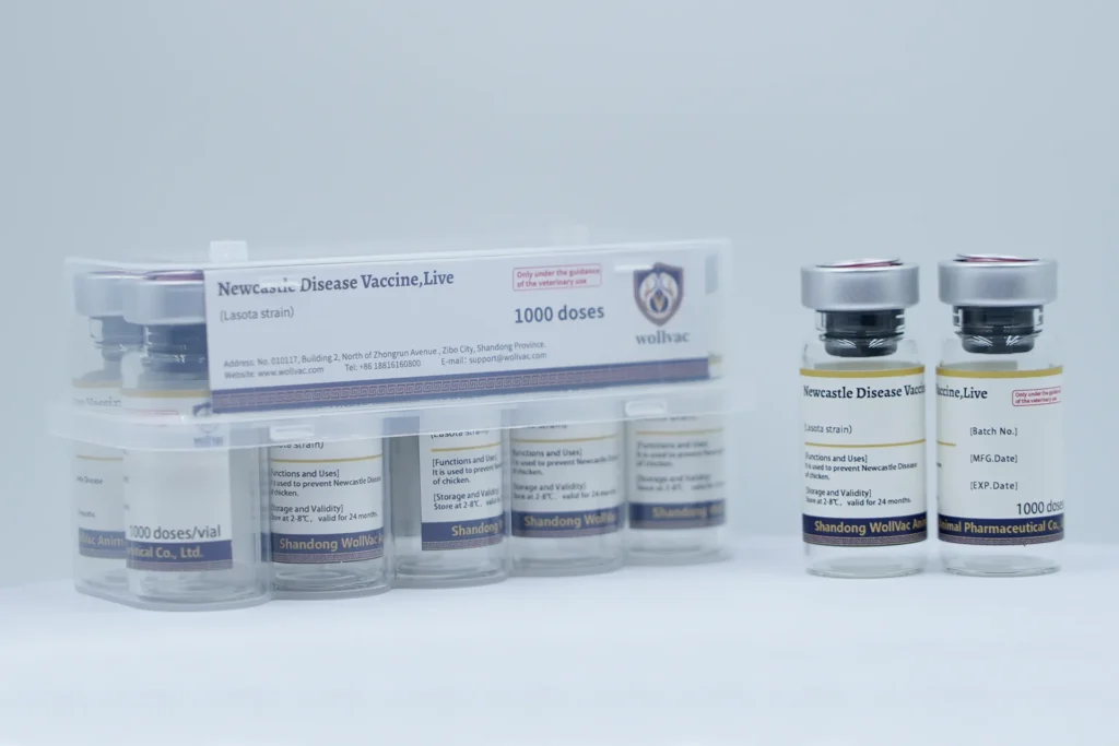 Newcastle Disease Virus Vaccine, Live (LaSota Strain)