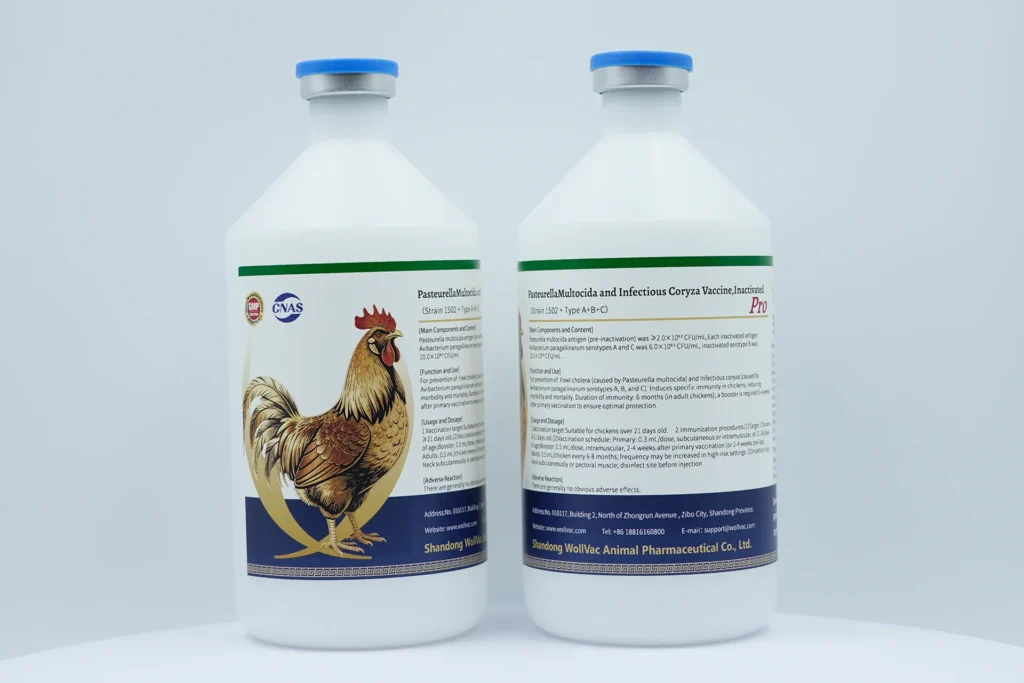 Pasteurella Multocida And Infectious Coryza Vaccine, Inactivated (Strain1502+Type A+B+C)