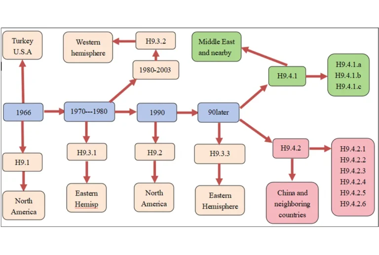 history_and_harm_of_H9_subtype_Avian_Influenza