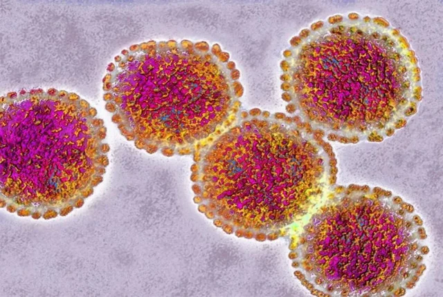 Avian Influenza